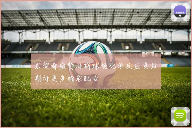 东契奇盛赞海斯球场化学反应良好期待更多精彩配合
